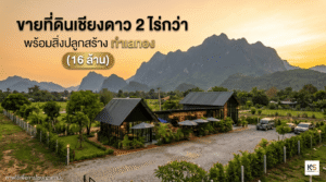 ภาพปกบทความ โฆษณาขายที่ดินเชียงดาว ทำเลทอง ขนาด 2 ไร่กว่า ราคา 16 ล้านบาท ภายในภาพแสดงทิวทัศน์สิ่งปลูกสร้างสไตล์โมเดิร์นสีดำ ลานจอดรถกว้างขวาง ท่ามกลางธรรมชาติ และมีฉากหลังเป็นวิวภูเขาที่สวยงามตระการตายามพระอาทิตย์ตก