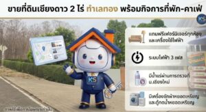 ภาพอินโฟกราฟิกประกาศขายที่ดินเชียงดาว 2 ไร่ ทำเลทอง พร้อมกิจการที่พักและคาเฟ่ นำเสนอโดยมาสคอตอสังหาริมทรัพย์
