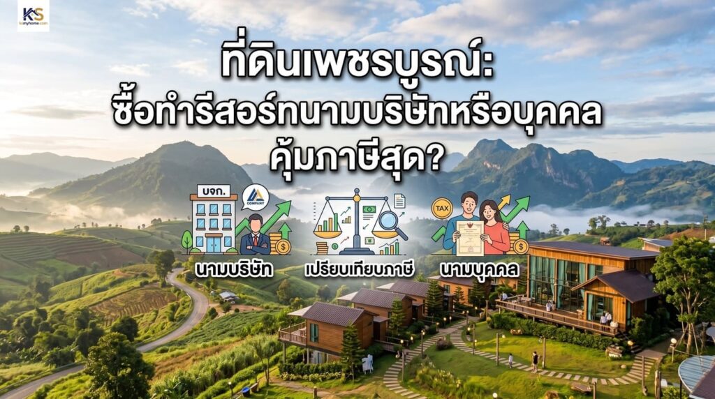 ปกบทความเปรียบเทียบความคุ้มค่าด้านภาษี ซื้อที่ดินเพชรบูรณ์ทำรีสอร์ท ในนามบริษัทและบุคคลธรรมดา